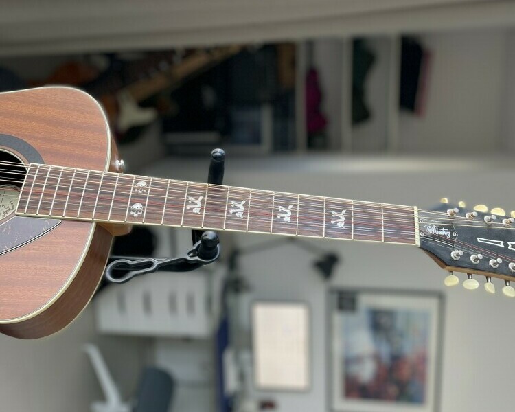 12 String fretboard - Strung Guitars